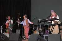 The Mangledwurzels on action on stage